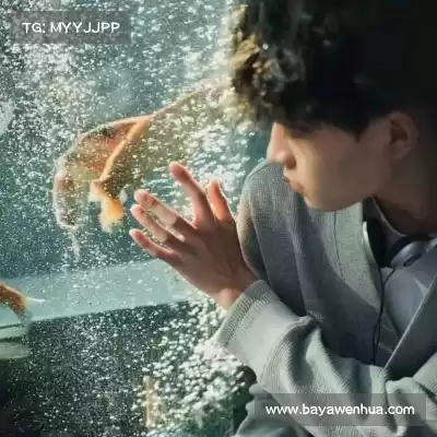 柯恋旖